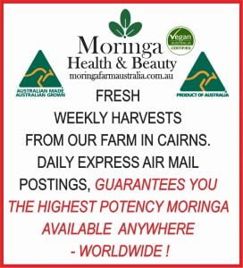 Fresh Weekly Harvested Cairns's Moringa