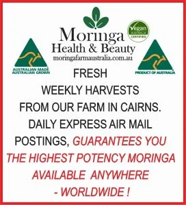 Fresh Weekly Harvested Cairns's Moringa