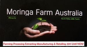 AUSTRALIAN Moringa DRIED LEAVES 60G -As Tea or for Blending - Made To Order