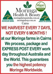 AUSTRALIAN Moringa TEA BAGS. Moringa LEAF with Lemon Grass and Ginger X 24 bags