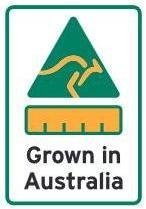 AUSTRALIAN Moringa SOAP 1 X 100G - Moringa seed oil & ground leaf prep.