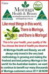 AUSTRALIAN Moringa TEA BAGS. Moringa LEAF with Lemon Grass and Ginger X 24 bags